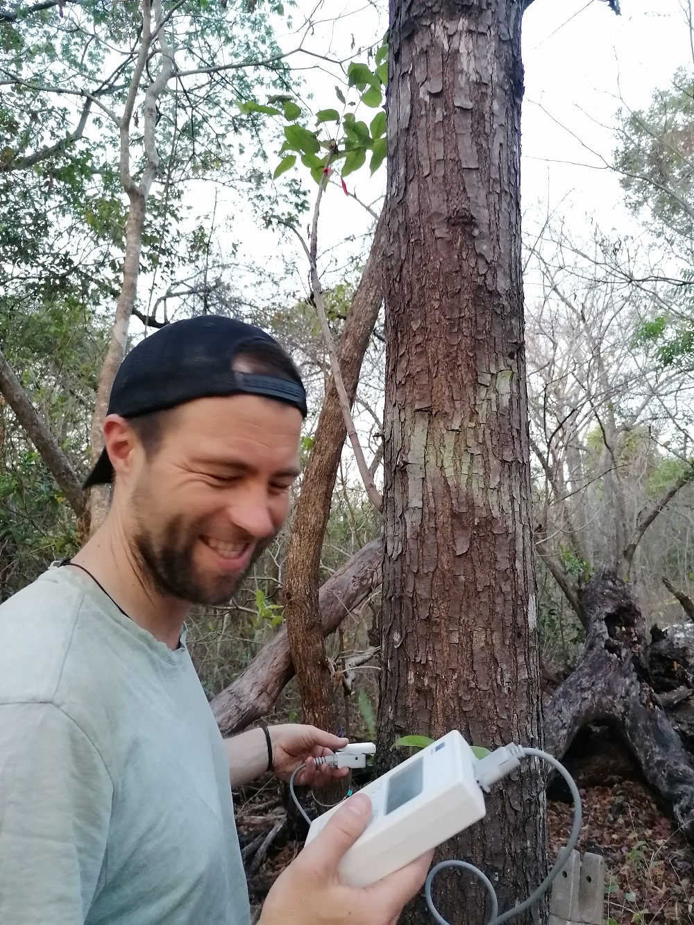 Matthias Beyer misst den Wasserdurchfluss an einem Baum im Forschungslager. 