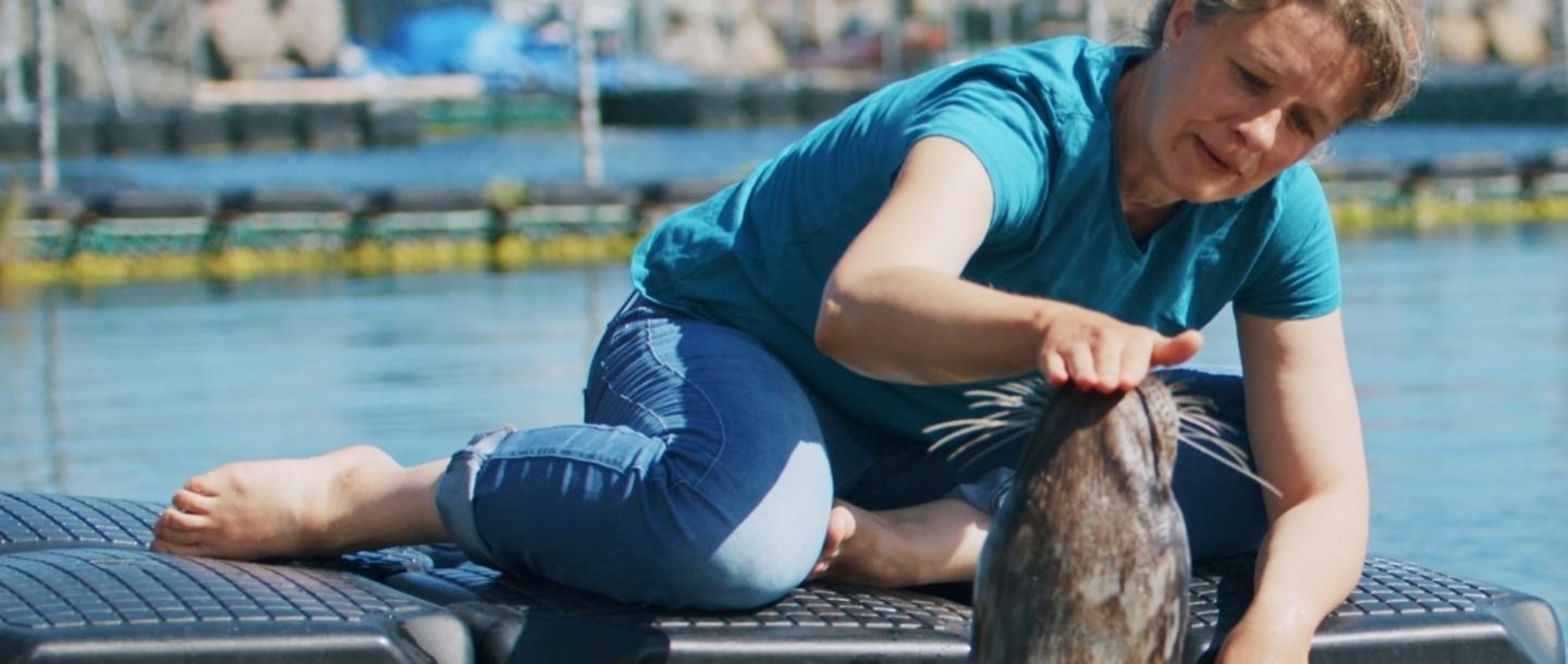 Frau auf einem Ponton hält die Hand an die Schnauze einer Robbe, deren Kopf aus dem Wasser schaut