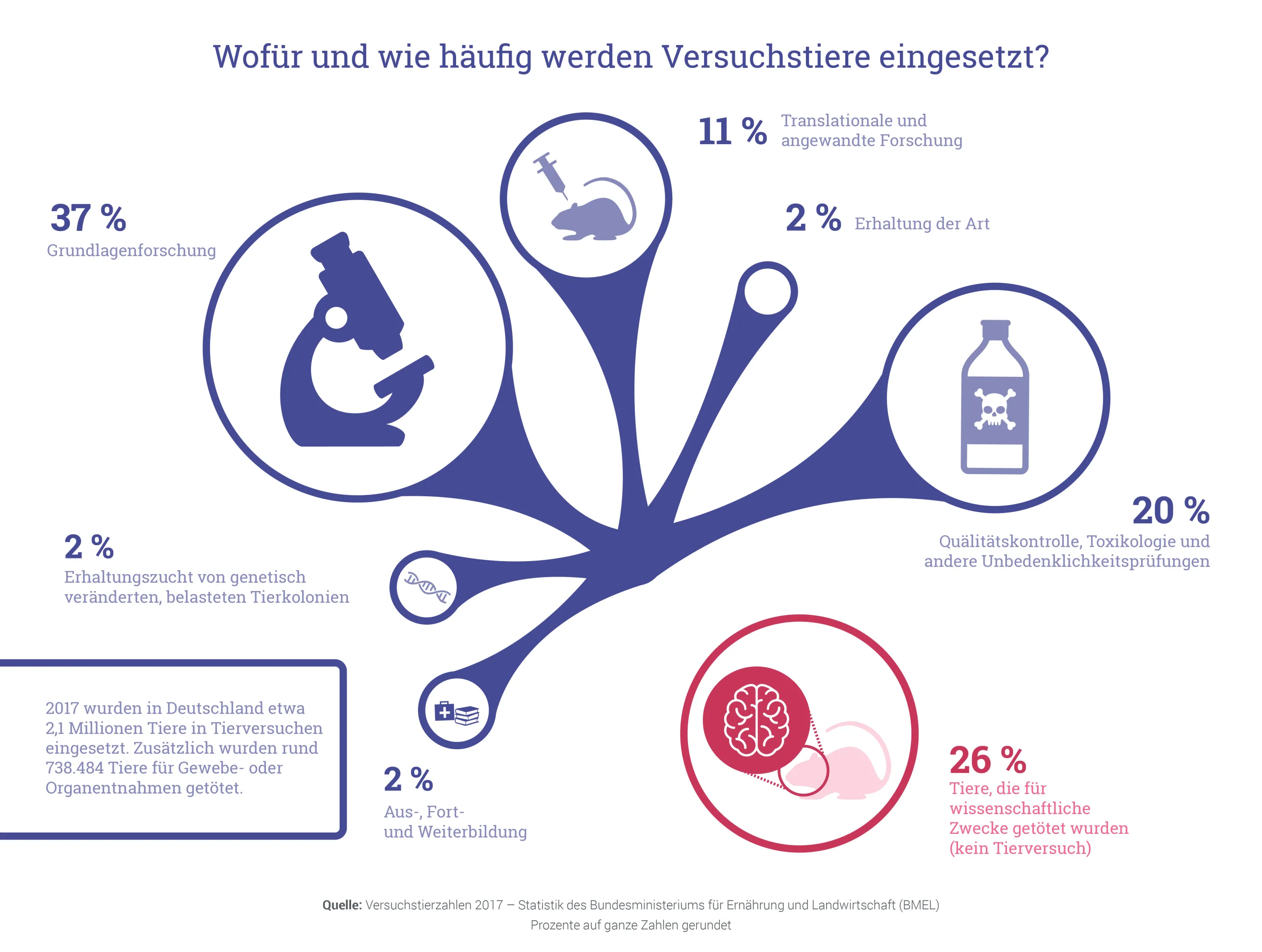 Grafik wofür und wie häufig werden Versuchstiere eingesetzt