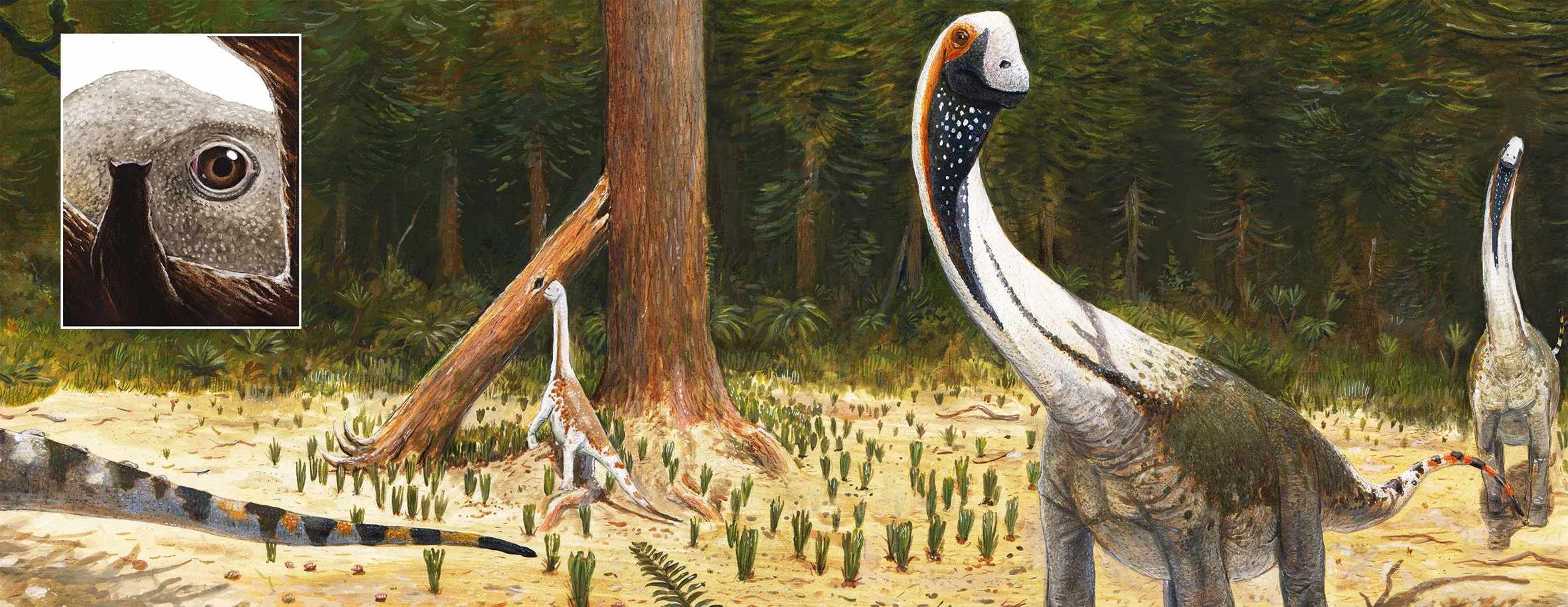 Illustration von mehreren Dinosaurier