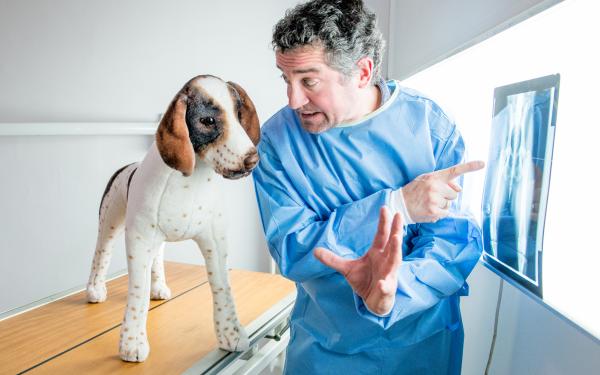 Mann in Medizinerkleidung mit Stoffhund und Röntgenbild