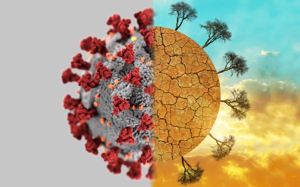 Eine in der Mitte geteilte Weltkugel. Eine Hälfte zeigt eine ausgetrocknete Erde mit ein paar restlichen Bäumen, die andere Hälfte ist die Darstellung des Corona Virus.
