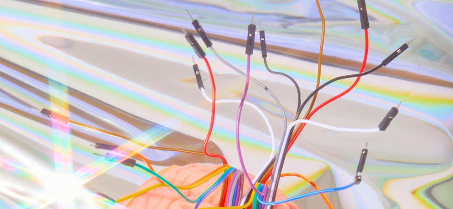 Kunstinstallation: Aus einem Plastikgehirn ragen elektrische Klemmen
