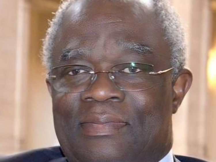 Zu sehen ist Abayomi O. Bankole.