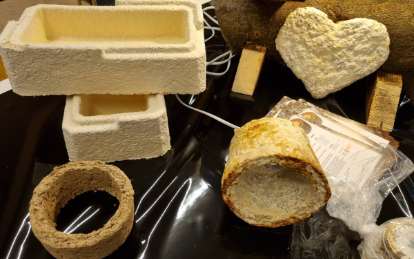 Verschiedene Formen auf Basis von Pilzmyzel