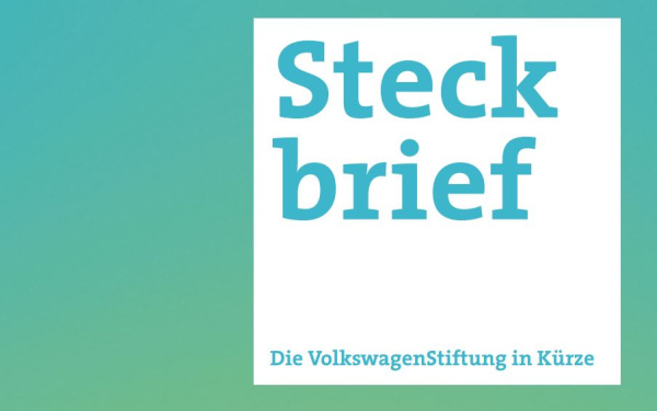 Steckbrief-Publikation der VolkswagenStiftung