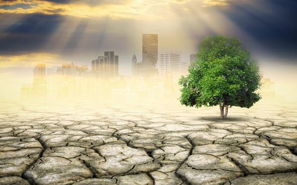 In the foreground you can see parched earth with a green tree growing on it, and in the background you can see a skyline surmounted by clouds through which individual rays of the sun flash.