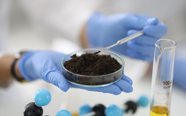 Das Bild zeigt eine mit Erde gefüllte Petrischale in mit blauen Gummihandschuhen behandschuhten Händen in einer Laboratmosphäre. 