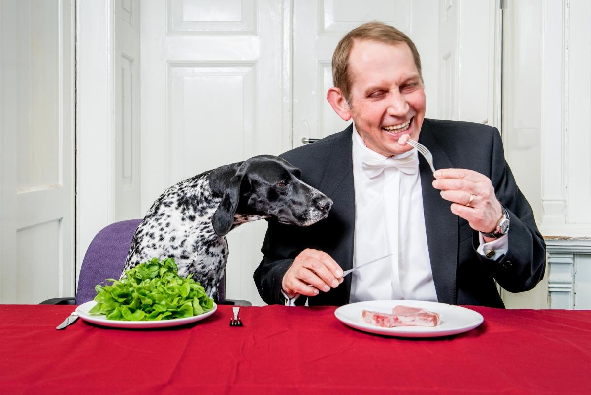 Mann im Anzug und ein Hund speisen zusammen an einem Tisch, der Hund sitzt hinter einem Teller Gemüse, der Mann hinter eine geöffneten (Hundefutter?) Dose