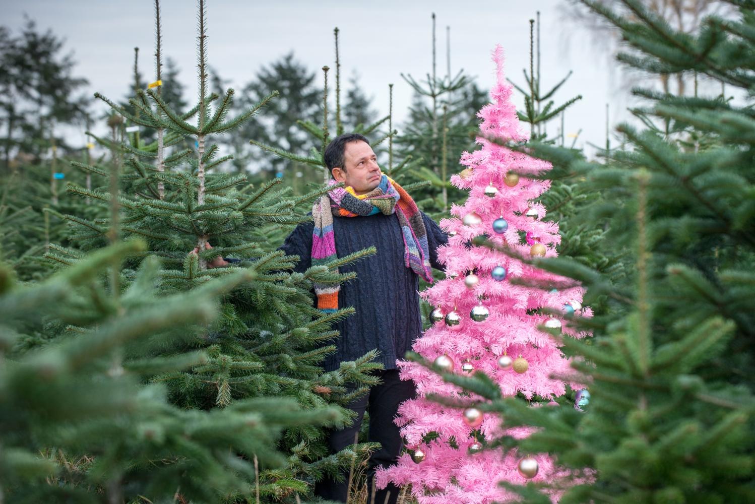 ein rosa Kunststoff-Tannenbaum in einer Tannenplantage