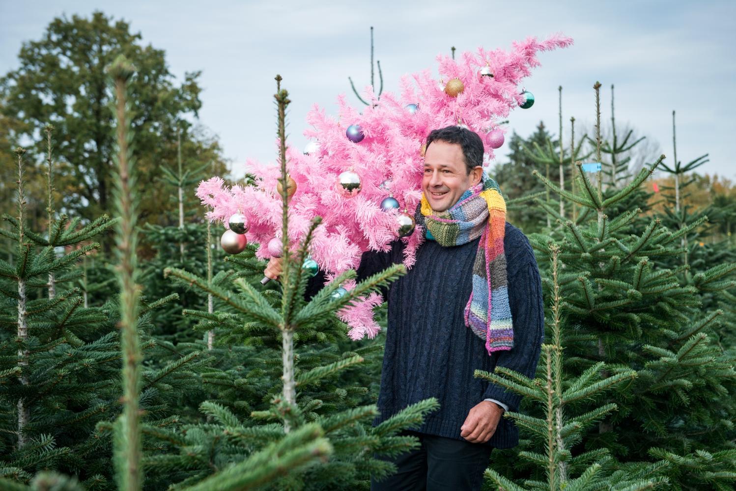 ein rosa Kunststoff-Tannenbaum in einer Tannenplantage