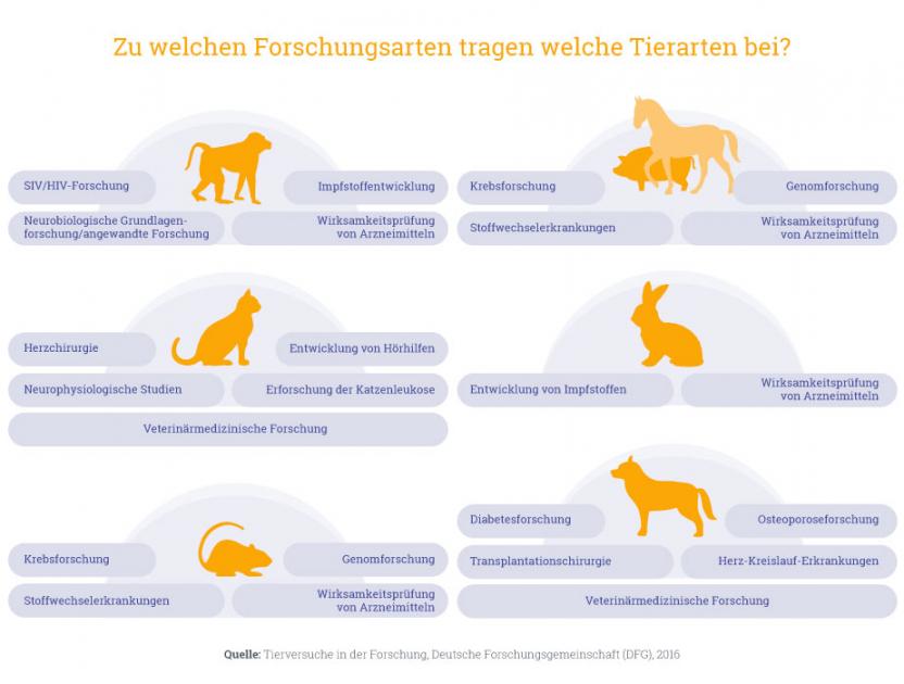 Grafik Tierversuche 3