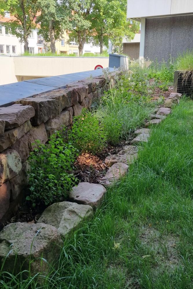 Steinmauer mit bewachsenem grünen Beet davor