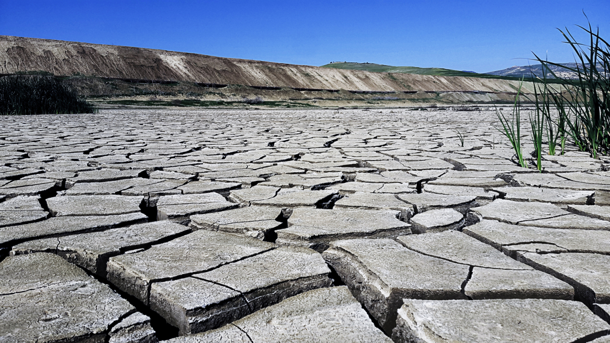 Trockenheit in Bouhanifia, Algerien.