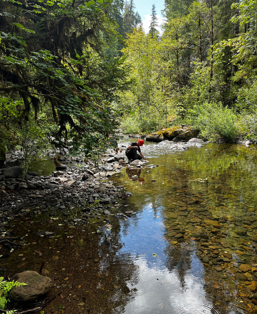 Mann nimmt Wasserprobe von einem klaren Waldsee.
