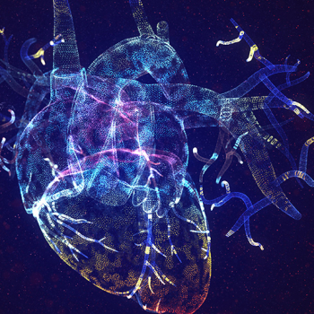 3d illustration showing a glowing human heart made of neon particles.