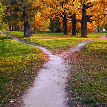 Das Bild zeigt einen Pfad im Sonnenuntergang in einem herbstlichen Park, der sich in zwei schmale Wege verzweigt, die in unterschiedliche Richtungen führen.