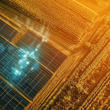 Man sieht ein Feld und Solarzellen von oben, auf die die Sonne stark scheint.
