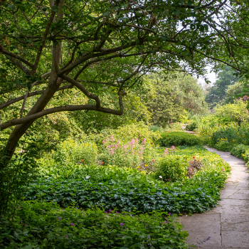 Zu sehen ist ein Weg durch einen üppig grünen Garten. 
