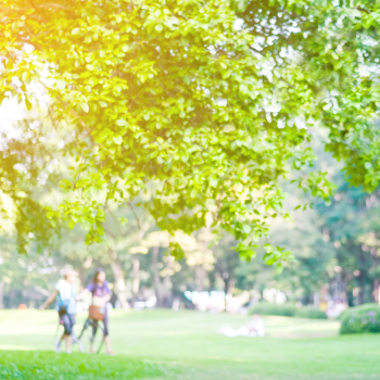 Zu sehen ist ein Blick in einen Park. Im Vordergrund ein Baum, im Hintergrund unscharf Menschen in Bewegung. 