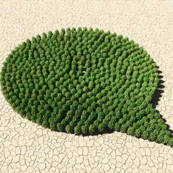 Das zeigt eine Sprachblase aus Bäumen, die auf trockener Erde stehen.