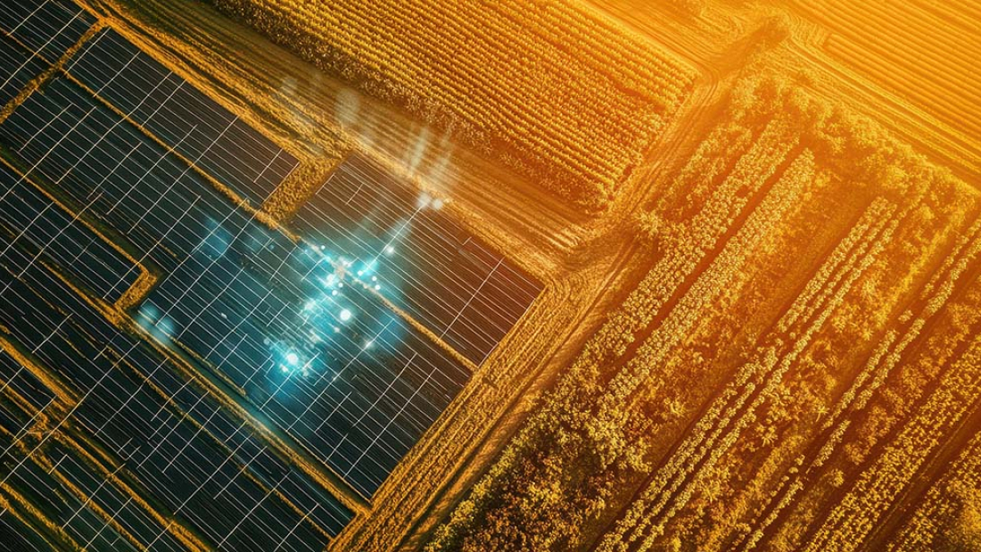 Das Bild zeigt ein Feld und Solarpanele von oben in sehr hellem Sonnenlicht.
