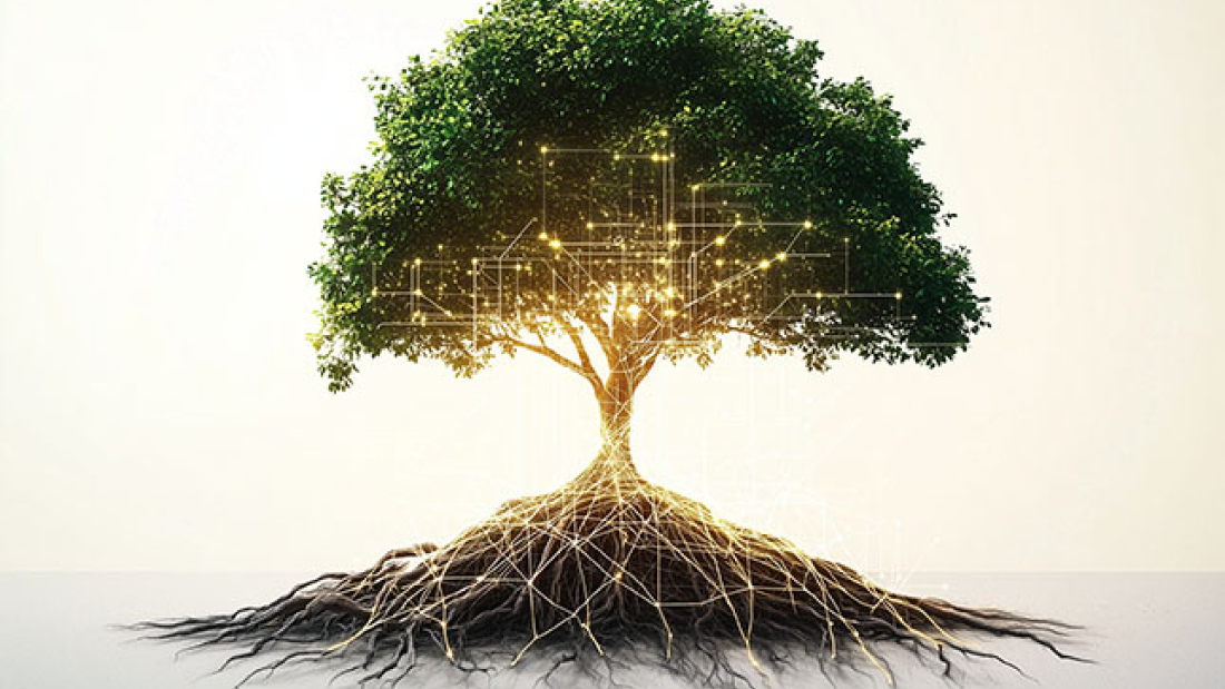 Ein Baum mit deutlich sichtbaren Wurzeln.